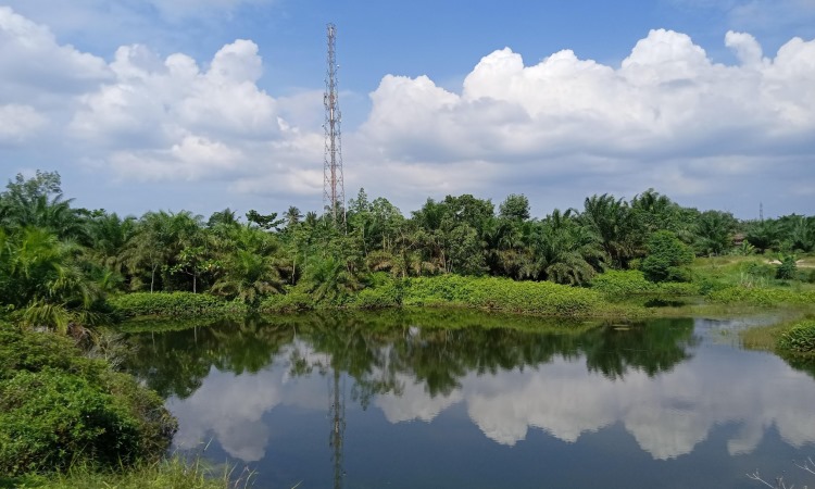 Danau Cinta