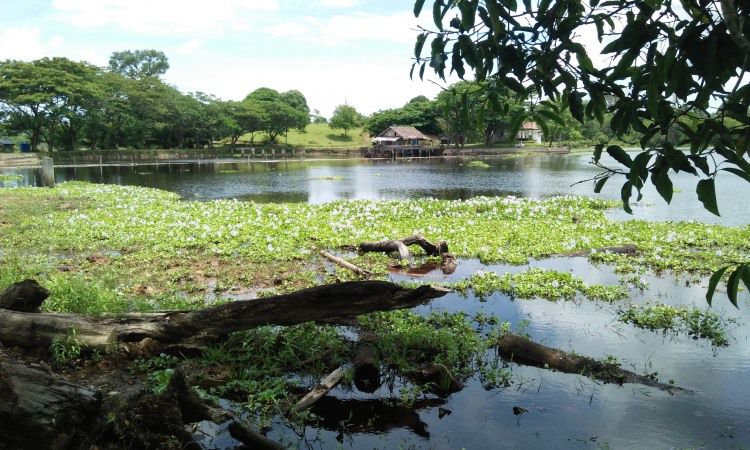 Danau Geunang Gedong