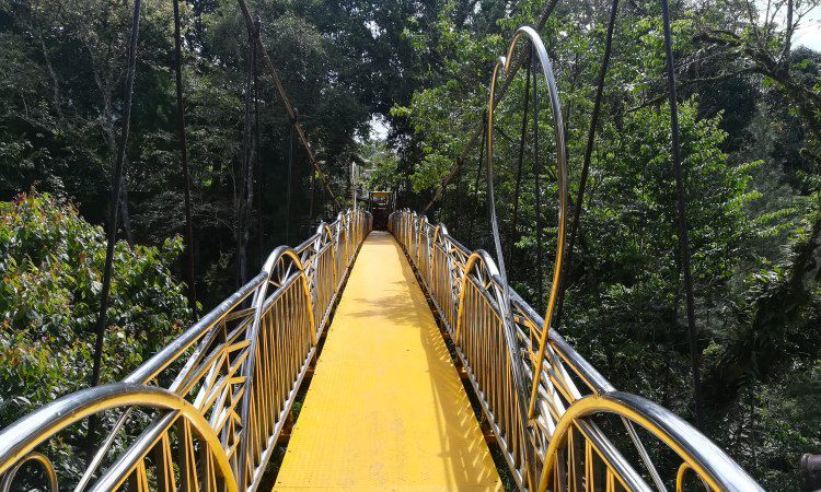 Daya Tarik Dimiliki Taman Alam Lumbini
