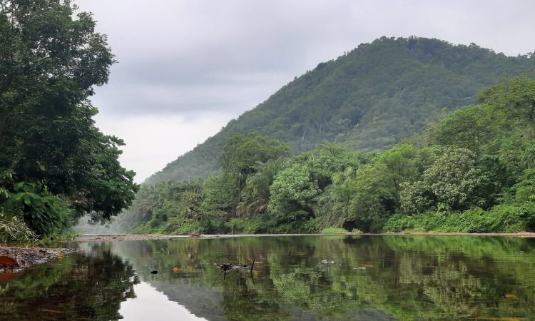 Daya Tarik Selang Pangeran Langkat