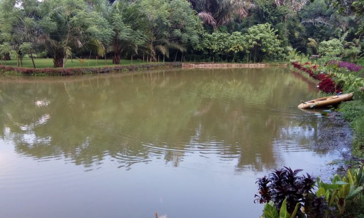 Taman Edukasi Binjai, Taman Bermain & Belajar Dengan Nuansa Alam yang Asri