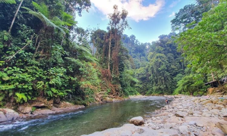 Taman Nasional Gunung Leuser