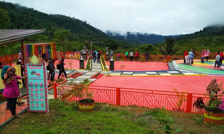 Tiket Kebun Raya Liwa Lampung