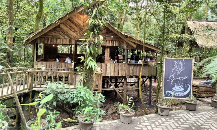 Aktivitas Seru Air Terjun Sikulikap Karo