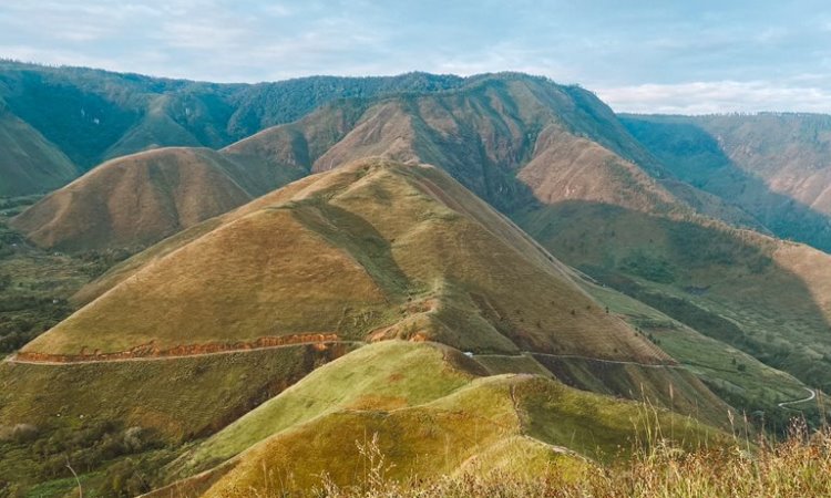 Daya Tarik Bukit Holbung Samosir