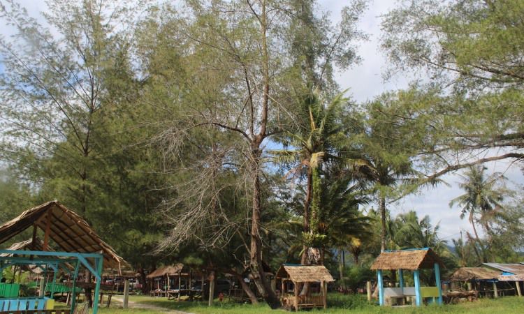 Fasilitas Pantai Kahona Tapanuli Tengah
