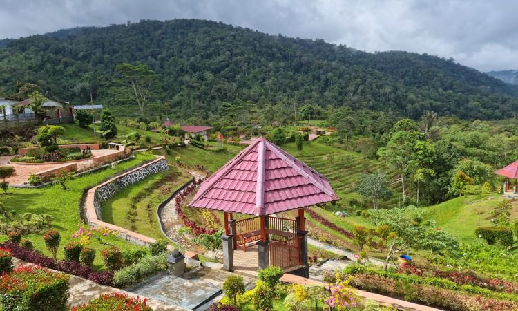 Kebun Raya Liwa