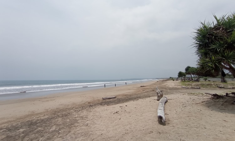 Pantai Kedu Warna