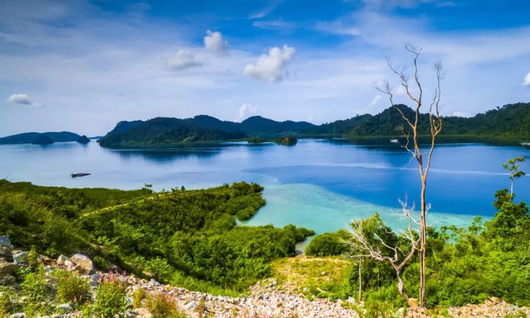 Puncak Mandeh, Menikmati Panorama Alam Indah dari Ketinggian di Pesisir Selatan