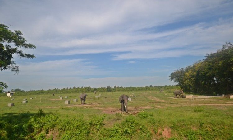 Taman Nasional Way Kambas
