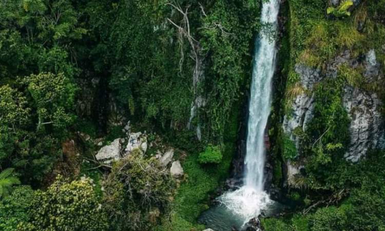 Daya Tarik Air Terjun Janji