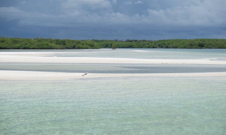 Daya Tarik Pulau Pasir Belitung