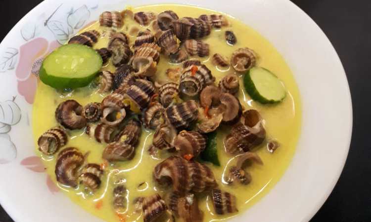 Gulai Siput Kuantan