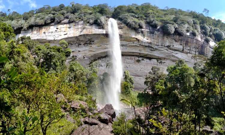 Air Terjun Batang Kapas