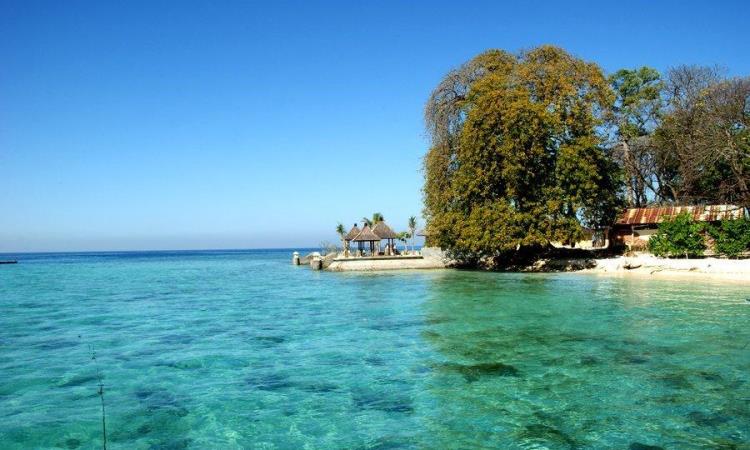 Daya Tarik lain Pulau Condong Lampung