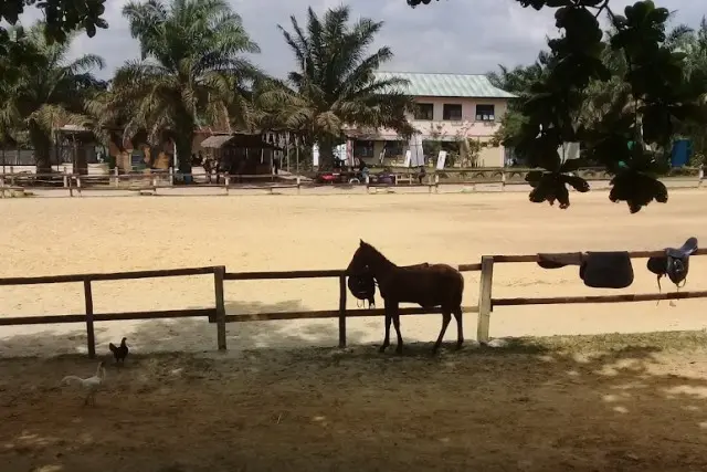 Daya Tarik yang Dimiliki Desa Wisata Okura di Pekanbaru