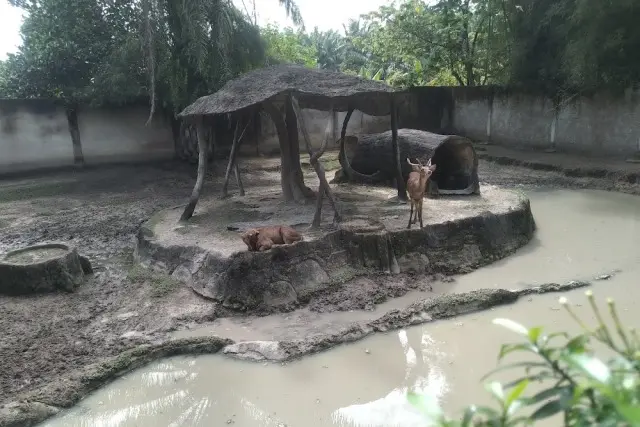 Fasilitas Wisata yang Tersedia di Kebun Binatang Kasang Kulim