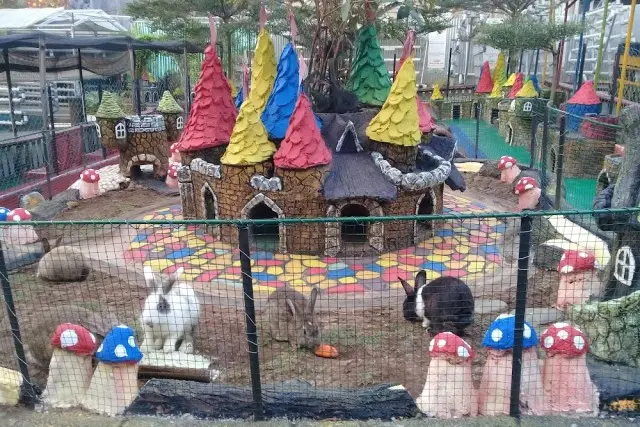 Kegiatan Menarik di Rumah Strawberry & Taman Kelinci