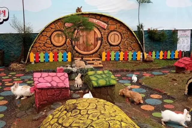 Rumah Strawberry & Taman Kelinci Lampung