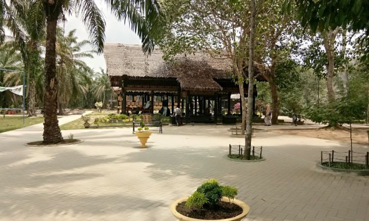 Aktivitas Hutan Kota Langsa