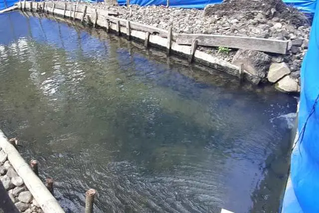 Aktivitas Menarik Air Panas Way Urang