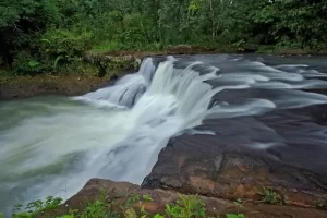 Aktivitas Menarik Curup Kedaton