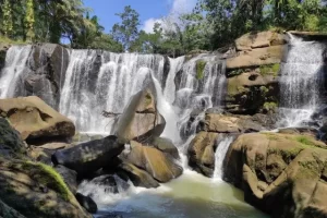 Daya Tarik Curup Pinang Indah