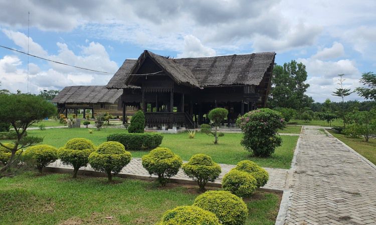 Daya Tarik Hutan Kota Langsa