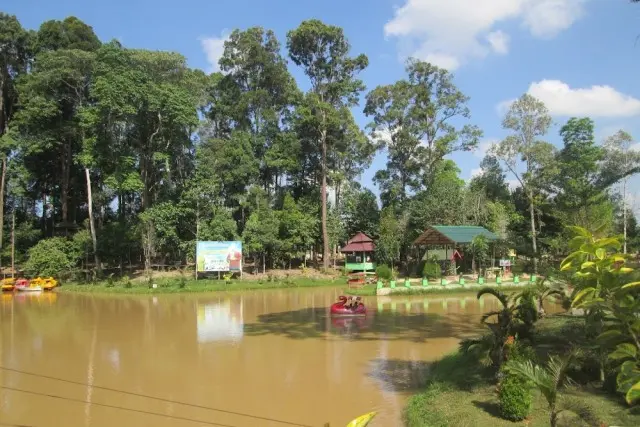 Daya Tarik Hutan Kota Langsa