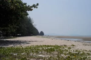 Daya Tarik Pantai Pukan
