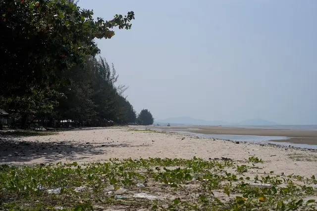 Daya Tarik Pantai Pukan