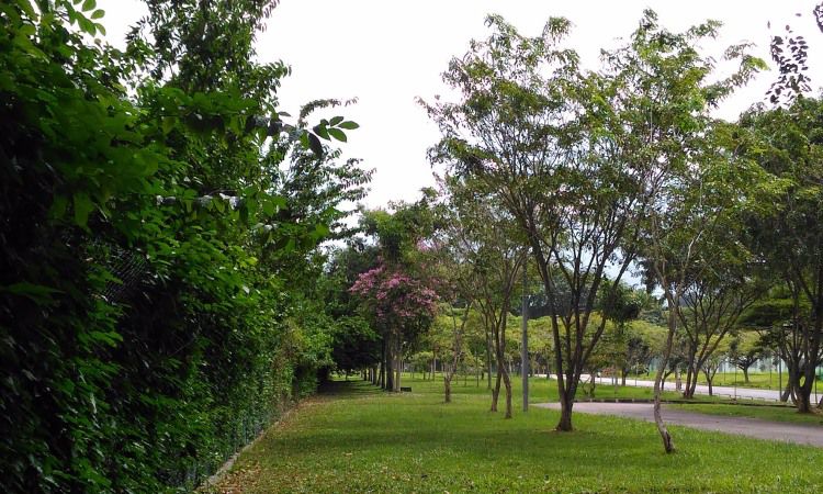 Daya Tarik Taman Seribu Janji Batam