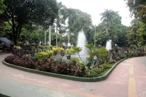 Aktivitas Menarik Taman Beringin