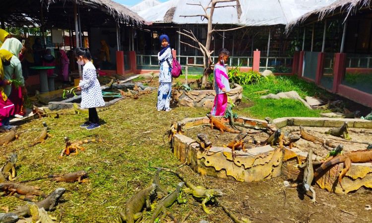 Aktivitas Palembang Bird Park