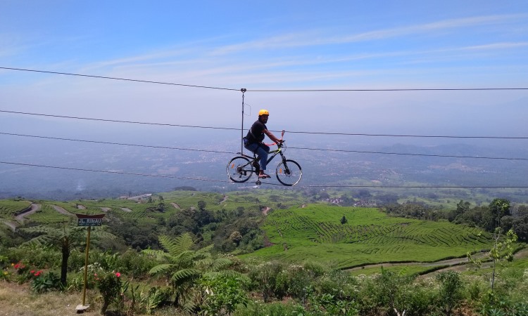Aktivitas Tugu Rimau Pagaralam