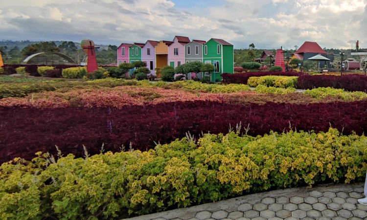 Alamat Oziel Amazing Garden Pagaralam