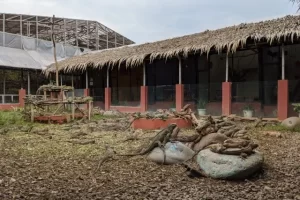 Alamat Palembang Bird Park