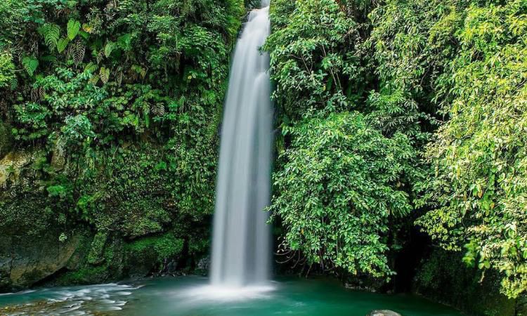 Daya Tarik Air Terjun Lematang Indah