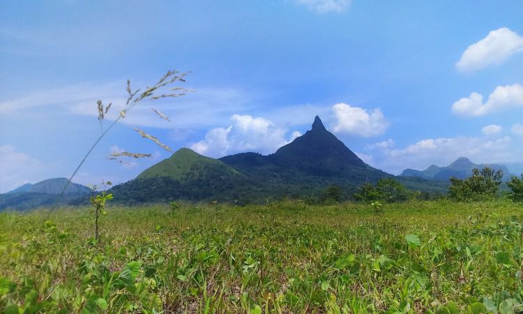 Daya Tarik Bukit Jempol Lahat