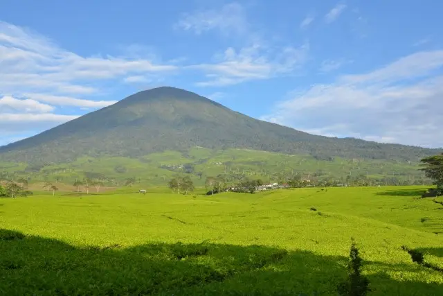 Daya Tarik Gunung Dempo