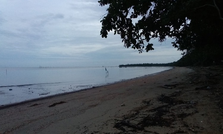Daya Tarik Lain Pulau Kampai Langkat