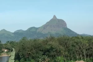 Daya Tarik Wisata Bukit Jempol