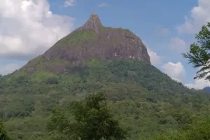 Daya Tarik Wisata Bukit Serelo