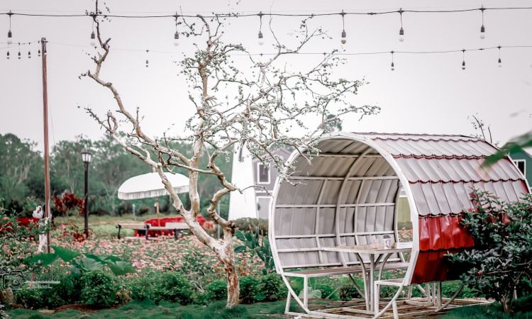 Fasilitas Oziel Amazing Garden Pagaralam