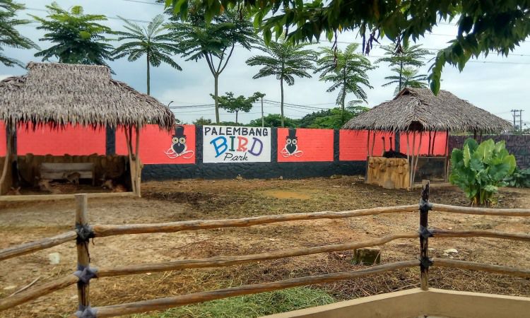 Fasilitas Palembang Bird Park