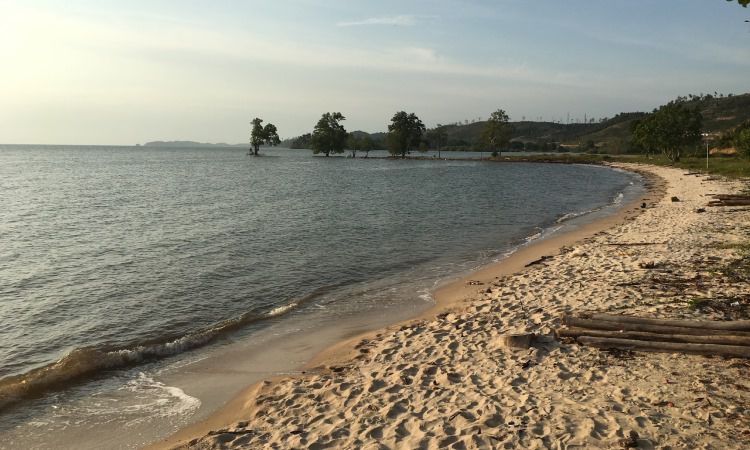 Daya Tarik Pantai Viovio Batam