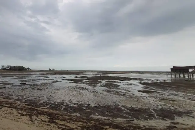 Kegiatan Pantai Payung