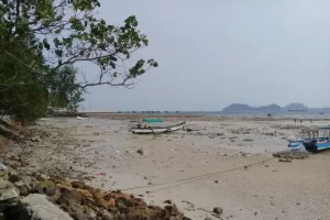 Daya Tarik Pantai Pasir Putih Lampung