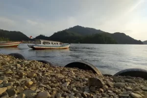 Daya Tarik Sungai Pisang
