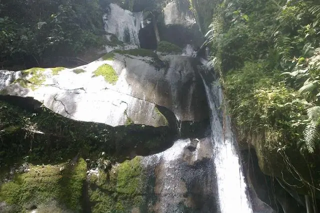 Daya Tarik Taman Eden 100